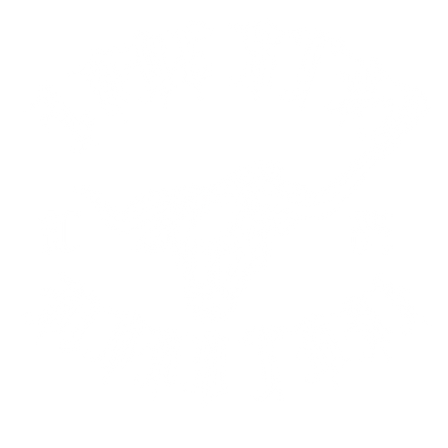 Lone Star Muay Thai 